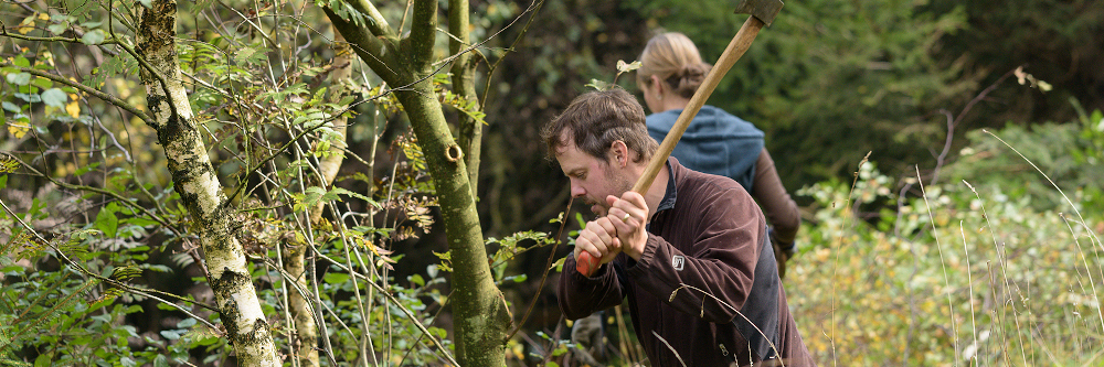 25 Freiwillige im Einsatz für die Artenvielfalt