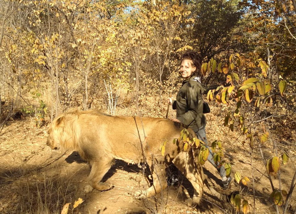 Raus in die Welt – das Studium im Gepäck