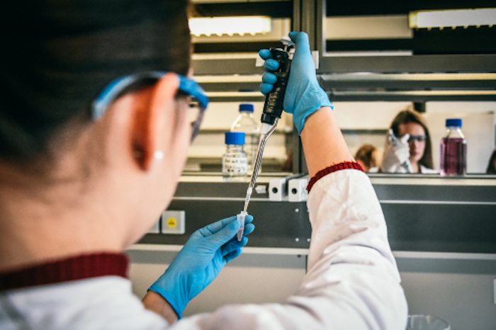 Regensburger Know-how beflügelt Deutschlands Corona-Forschung