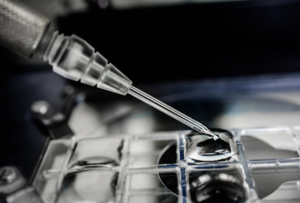 Neue Hoffnung auf einen "Wachstums-Stopp" für Krebszellen