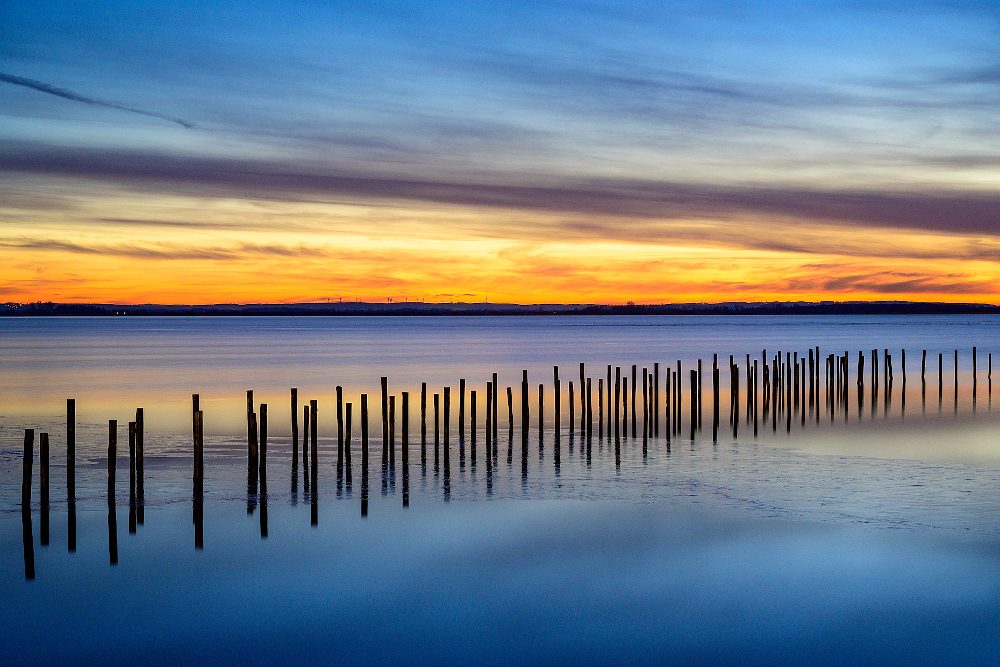 Der Dümmer – Naturschutzparadies und Sehnsuchtsort