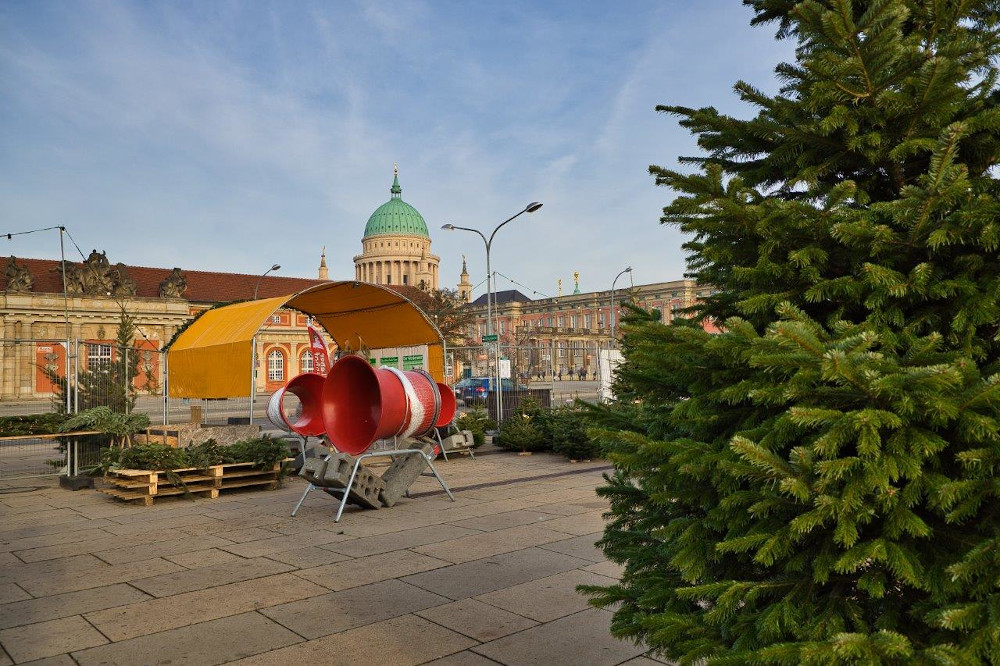 Auf einen Baum muss gerade in diesem Jahr niemand verzichten