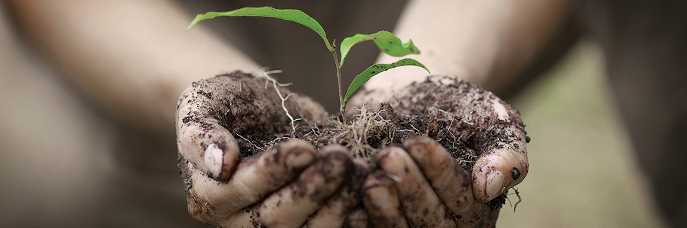TeeGschwendner unterstützt lokale Umweltschutzinitiativen