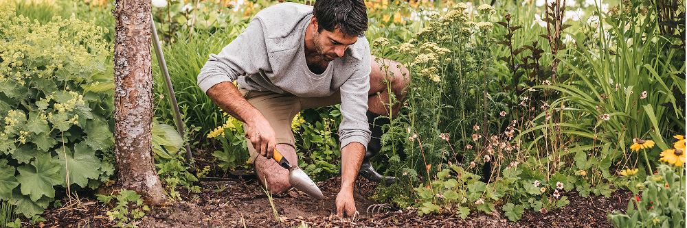 Bienenretter werden: Ideen für Fensterbank, Balkon und Garten