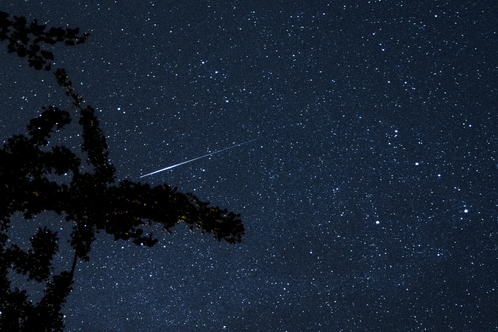In der Nacht zum 13. August erreichen die Perseiden den Höhepunkt