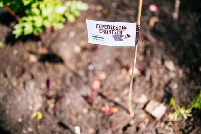 Rückkehr der Teebeutel: „Expedition Erdreich“ geht in die nächste Phase