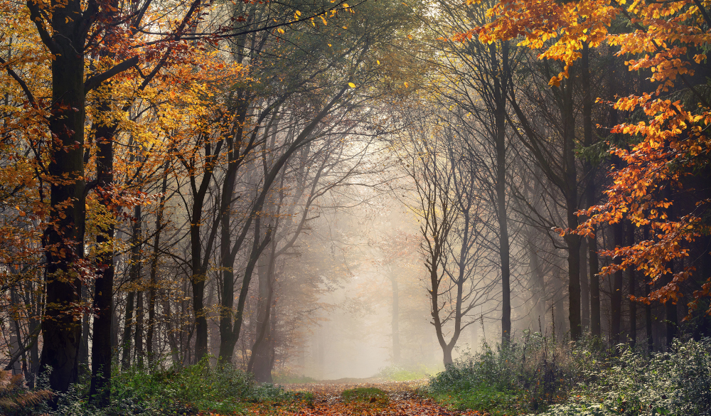 Dauergrau oder weiße Flocken