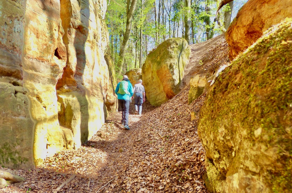 Wandern als "Wohlfühlrezept" gegen den Herbst-Blues