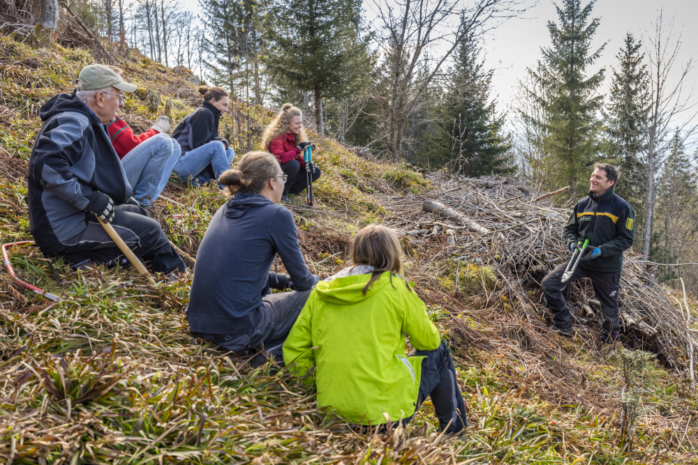 Urlaub und Naturschutz verbinden – Volunteer-Reise in den Hochschwarzwald