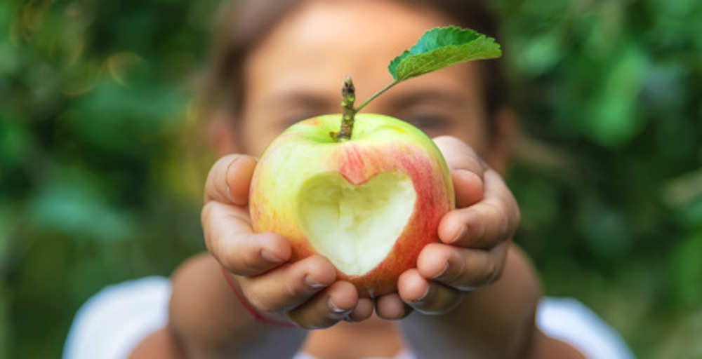 Start in die Apfel-Erntezeit: Was die Lieblingsfrucht der Deutschen so gesund macht