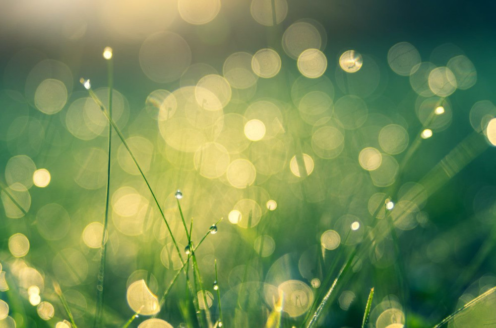 Das Geschäft mit der Nachhaltigkeit