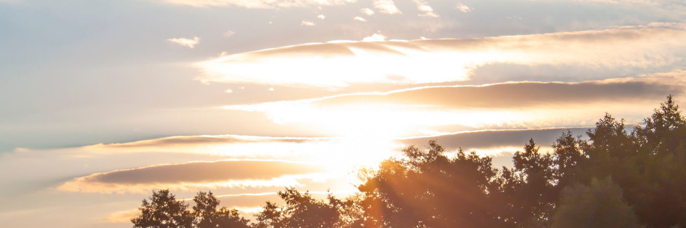 Über 20 Grad – Temperaturrekorde purzeln reihenweise