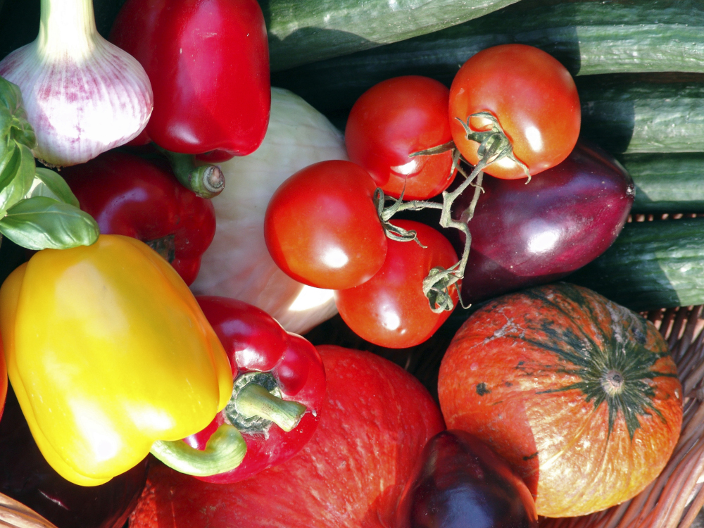 DBU: Wertschätzen statt Wegwerfen – Grüne Woche startet