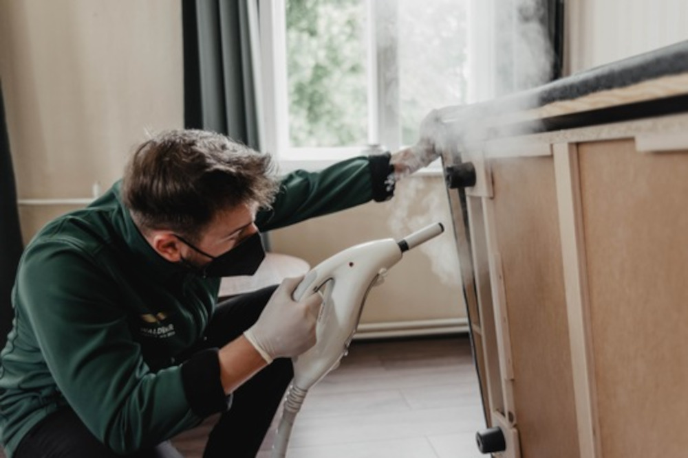 Die Profis der Bettwanzenbekämpfung bilden bald aus und eröffnen Akademie im Spreewald