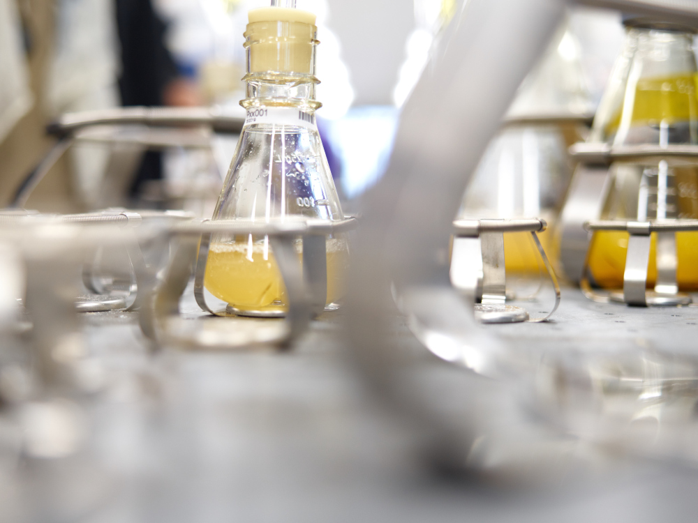 Firmen kündigen Partnerschaft zur Entwicklung biobasierter Materialien zur Verringerung von Mikroplastik an