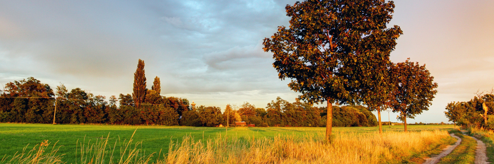 Ist der Sommer so schlecht, wie er sich anfühlt?