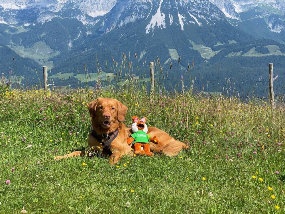 Paola reist 3.600 km durch Europa