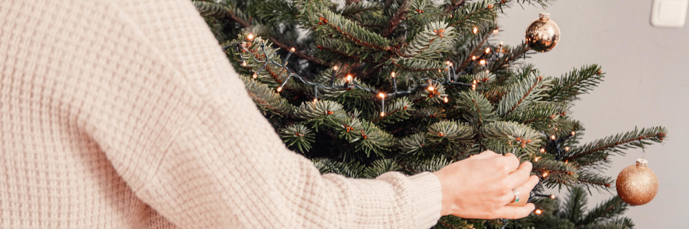 Jüngere Generation greift eher zum natürlichen Weihnachtsbaum