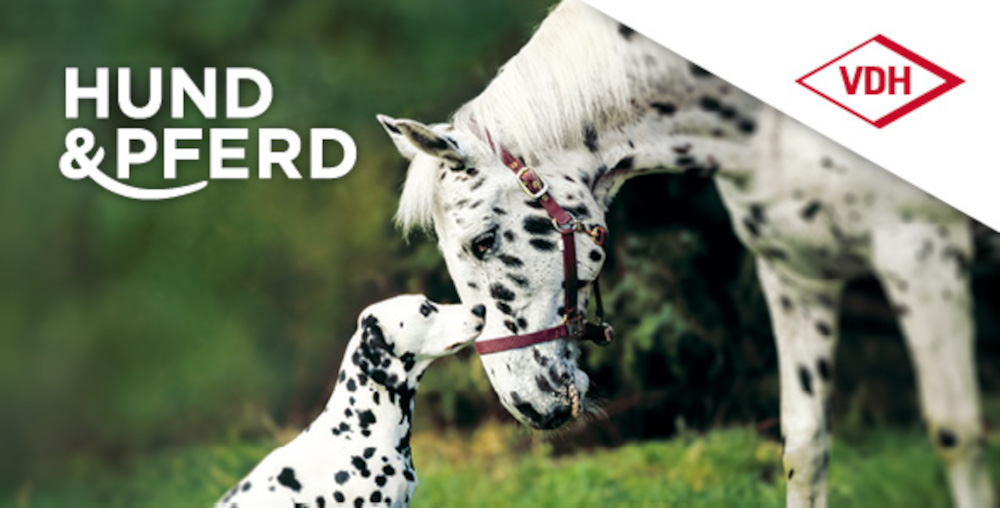 Messe in Dortmund - Hund & Pferd 2023