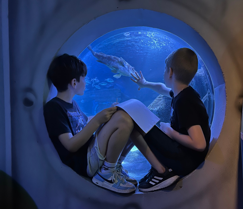 Meeresbotschafter gesucht!