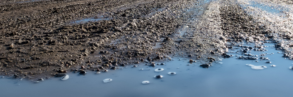 So reagiert das Grundwasser auf die nasse Phase