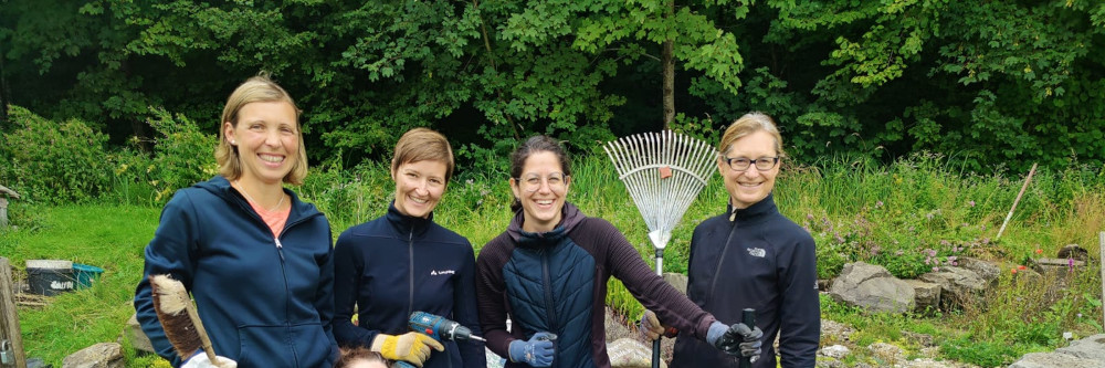 Deutschland summt!-Pflanzwettbewerb startet bundesweit