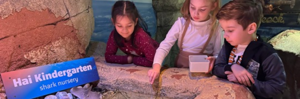 Hai, ai, ai: Tierisches Osterwunder im SEA LIFE Berlin