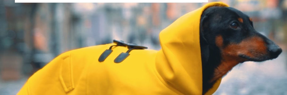 Unsere Mission Green – um Deutschland klimafit zu machen!