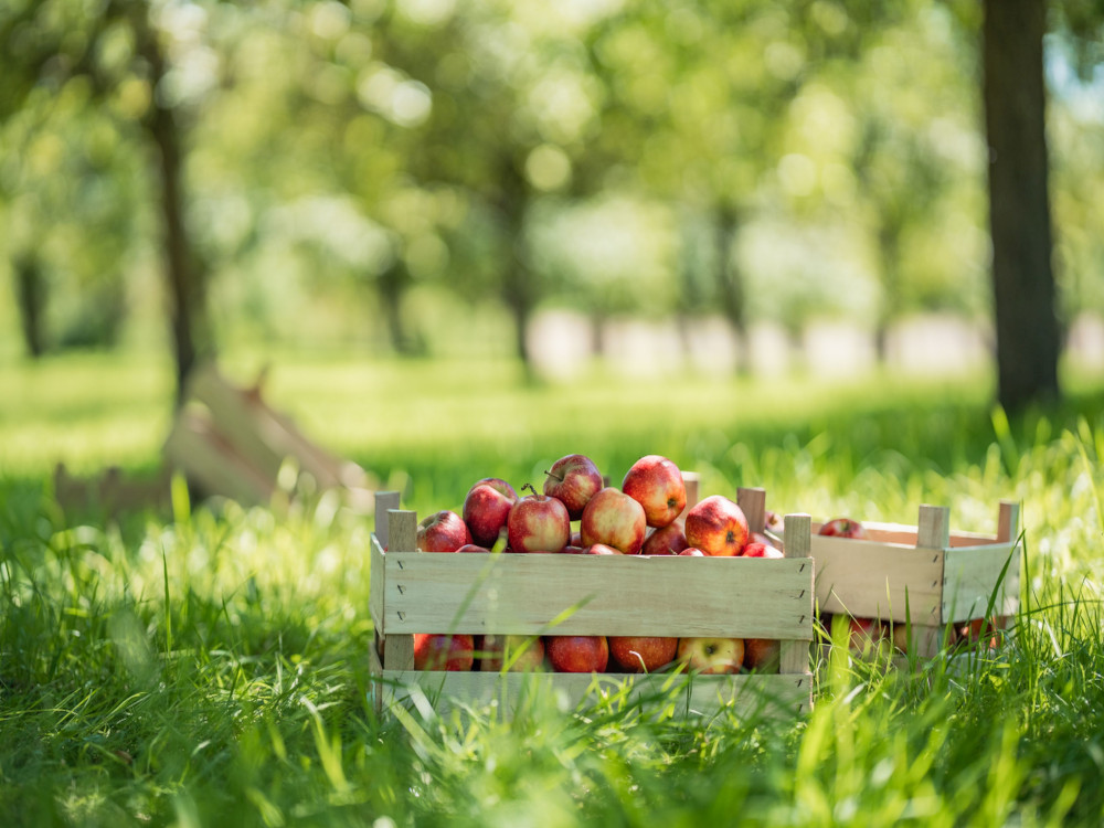 beckers bester: Da most Du hin!