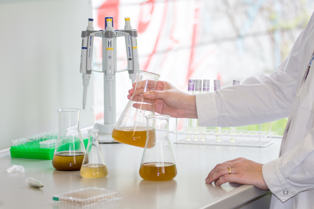 Ohne Tiernutzung: Antikörper aus Algen für Schwangerschaftstests