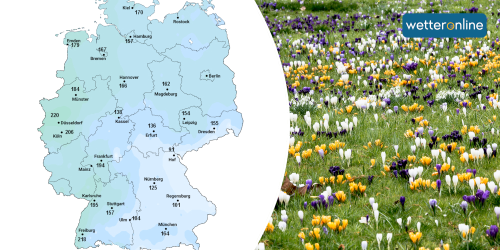 Natur blüht immer mehr auf