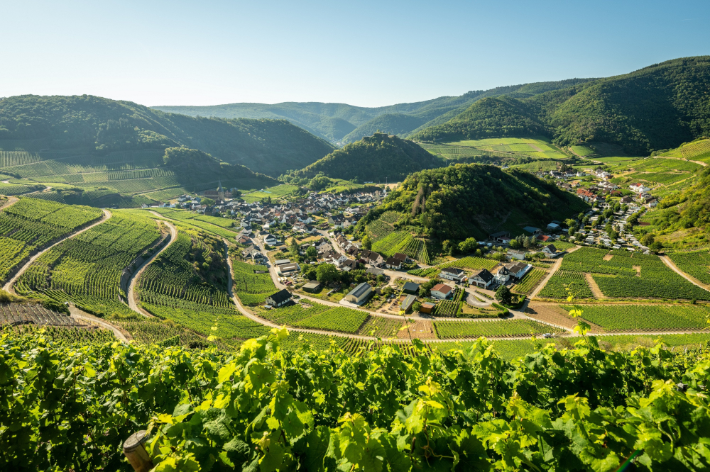 Tourismus im Ahrtal nimmt weiter Fahrt auf