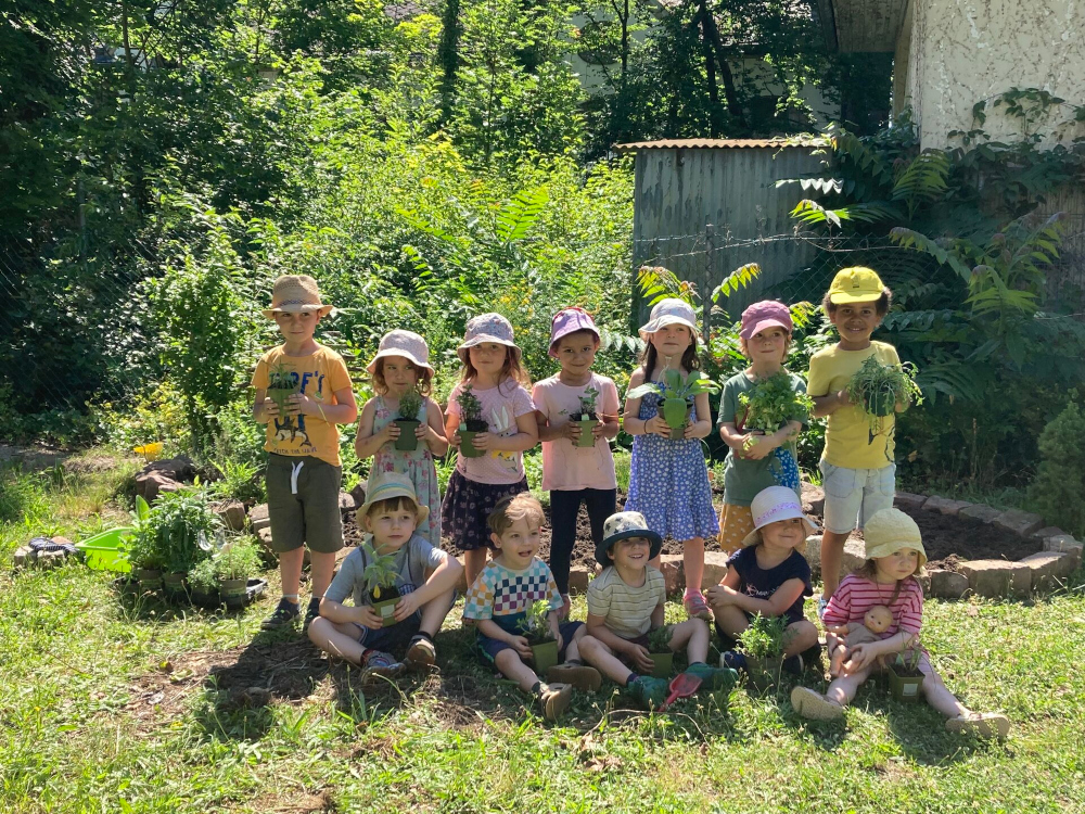 Kostenfreie Kräuterpflanzen für Kinder- & Jugendgruppen