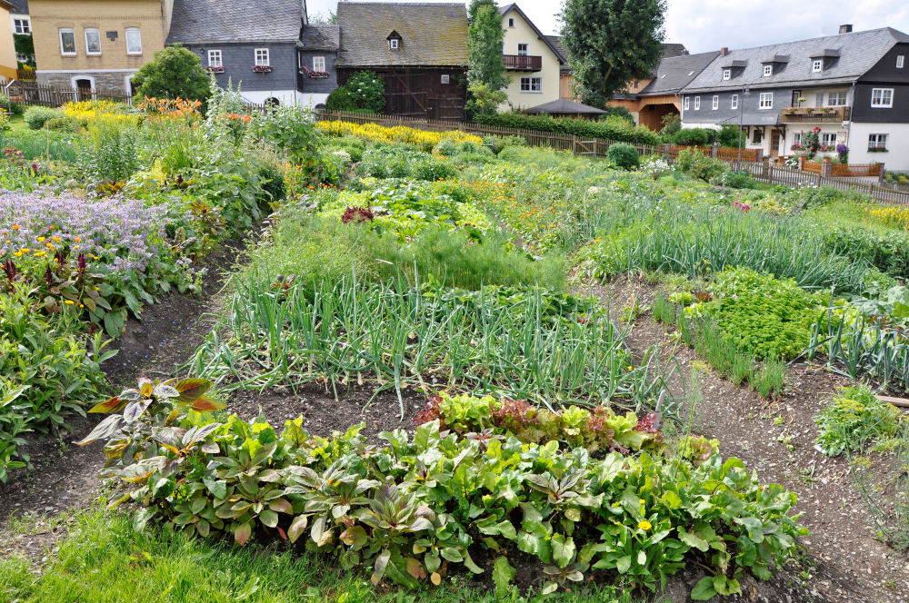 Nachhaltig gärtnern: Gartenbauexperte klärt auf