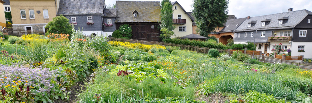 Nachhaltig gärtnern: Gartenbauexperte klärt auf