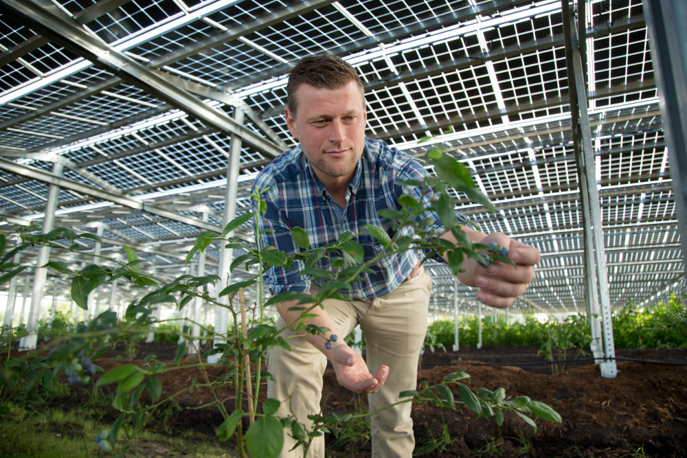 CeresAward 2021: Doppelt genutzt – Wird Josef Kneer aus Büren Landwirt des Jahres 2021?