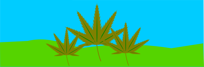 Gesetzentwurf für die Legalisierung von Rauschmitteln liegt in der Schublade / Auswirkungen auf Straßenverkehr unabsehbar