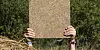 Das Paluboard