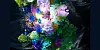 Partion de fleurs