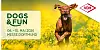 DOGS & FUN