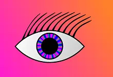 Das Auge