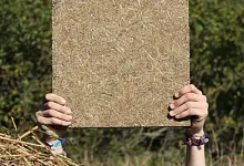 Das Paluboard