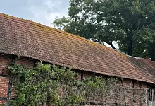 Rietberg Hofstelle In den Marken