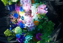 Partion de fleurs