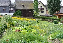 Naturnahe Gärten sind nicht ungepflegt, sondern bewusst gestaltet