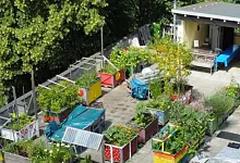 Nachhaltiger Dachgarten