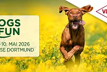 DOGS & FUN