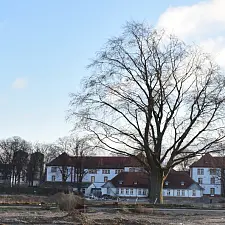 Neues Baugebiet, Gelände der  Alan Brooke Kaserne ©Gerald Kaufmann