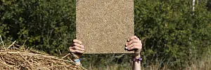 Das Paluboard
