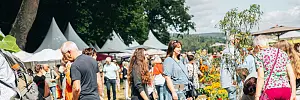 Gartenfest Corvey 